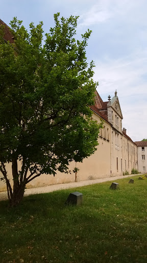 L'arbre et le puits...