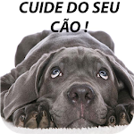 Cover Image of ダウンロード Cuidados com o Cão 1.0 APK