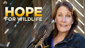 Hope for Wildlife thumbnail