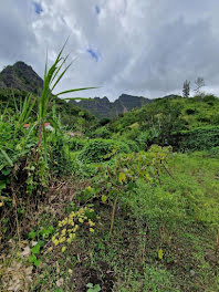 terrain à batir à Cilaos (974)