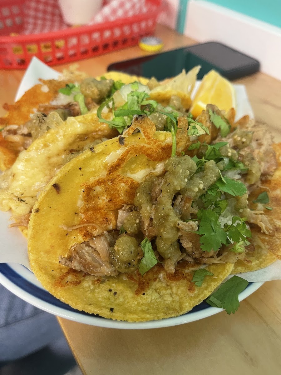 Pork Carnitas taco