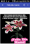 Feliz día mamá