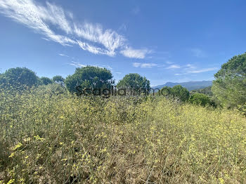 terrain à Figari (2A)