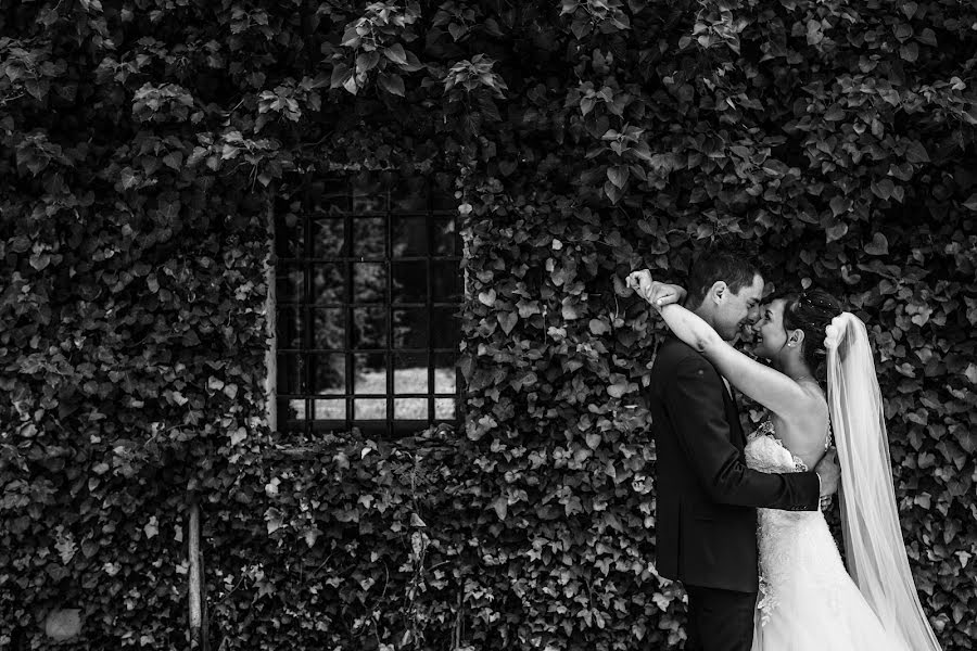 Fotógrafo de casamento Debora Isaia (isaia). Foto de 9 de junho 2017