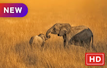 Elephant New Tab HD Animal Top Theme small promo image