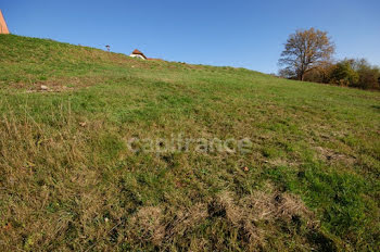 terrain à Lengelsheim (57)