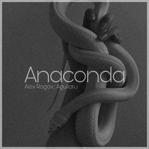 Anaconda - YouTube Music