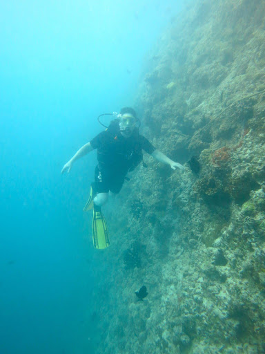 Underwater in The Maldives 2014