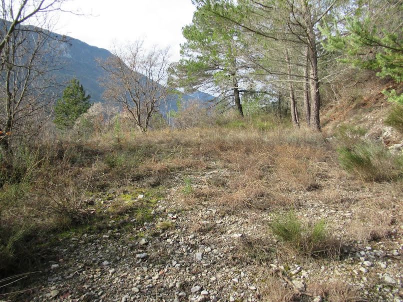 Vente terrain  7385 m² à Touët-sur-Var (06710), 74 500 €