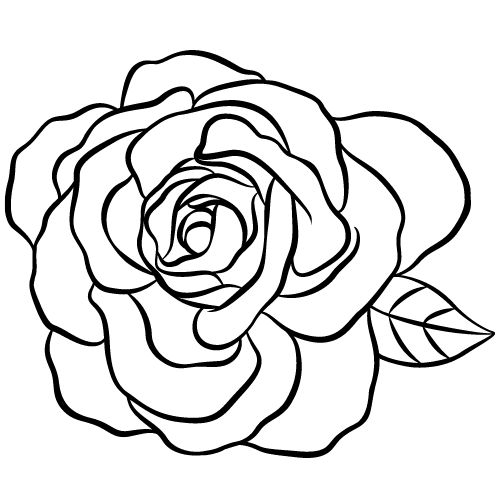 Easy Rose Drawing Outline Ideas