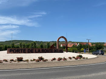 locaux professionnels à Strasbourg (67)