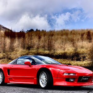 NSX