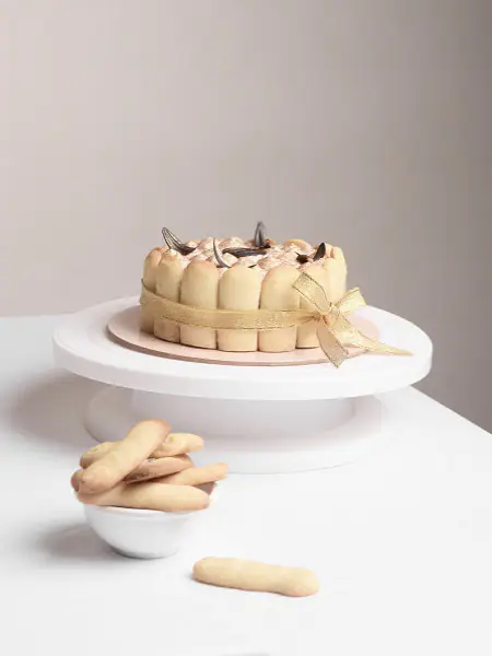 Zinque's Tiramisu Cake