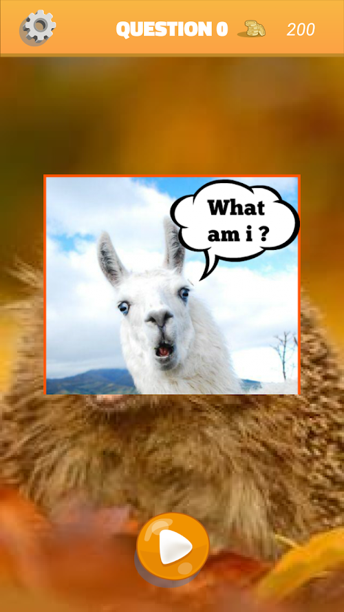 Android application Guess the funny animal screenshort