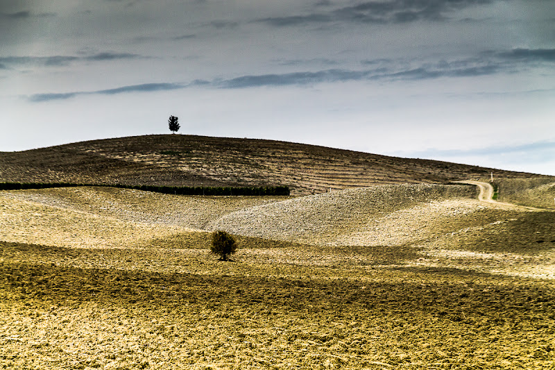 Autunno in Val D'orcia di monica ragadini 