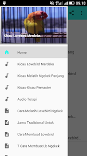 Kicau Lovebird Merdeka(圖1)-速報App