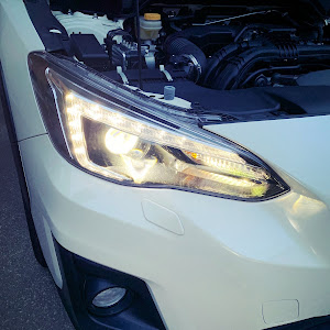 XV GT7