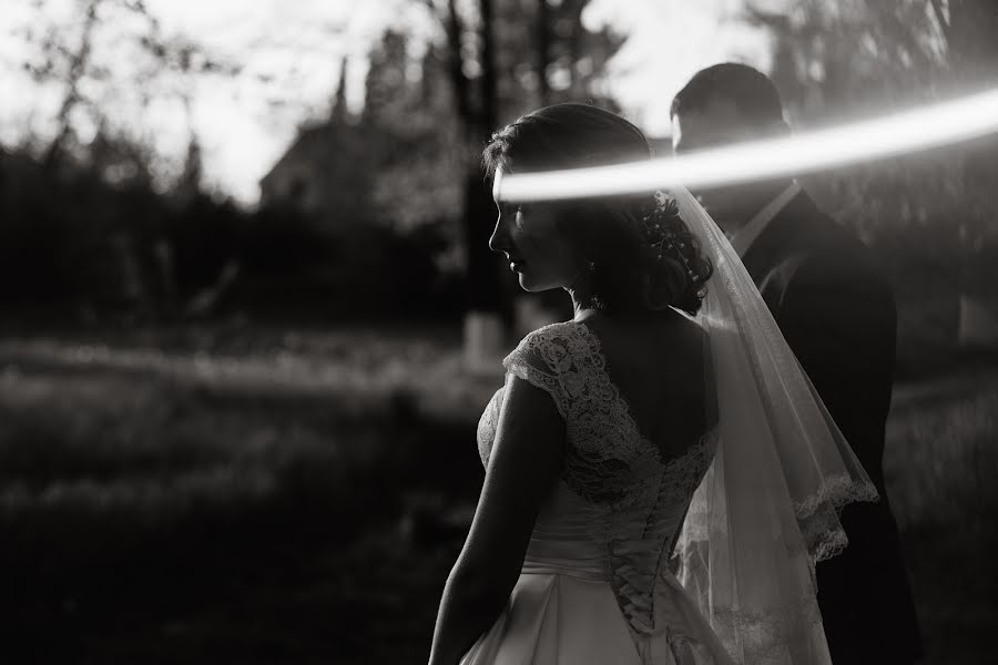 Fotografo di matrimoni Natalya Stadnikova (nstadnikova). Foto del 29 giugno 2017