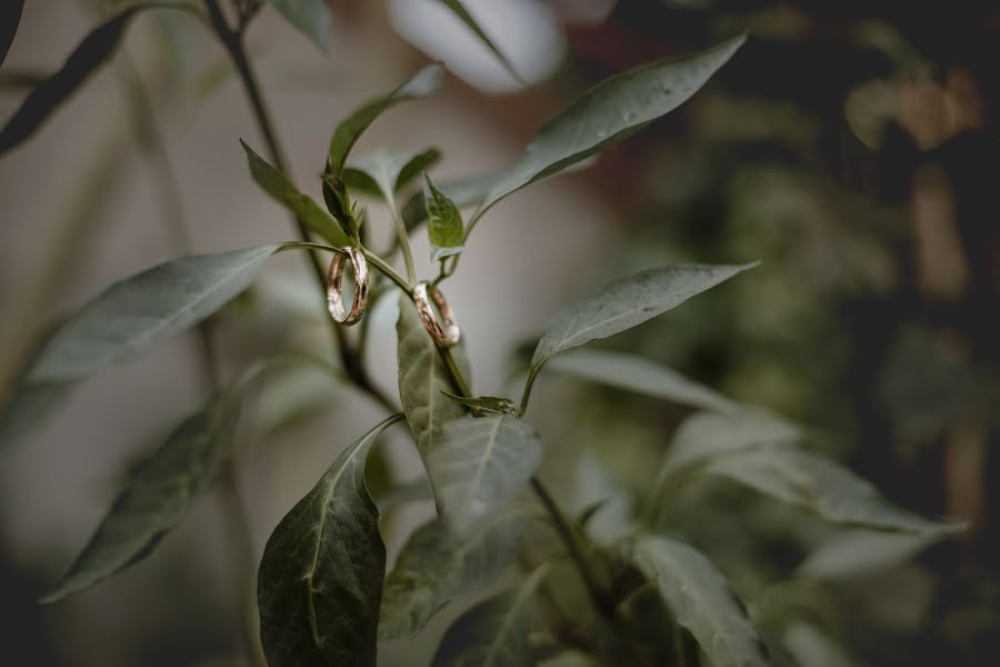 Wedding photographer Elena Gioia (elenagioia). Photo of 21 October 2019