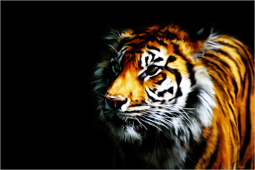 Tiger Animal Live Wallpaper