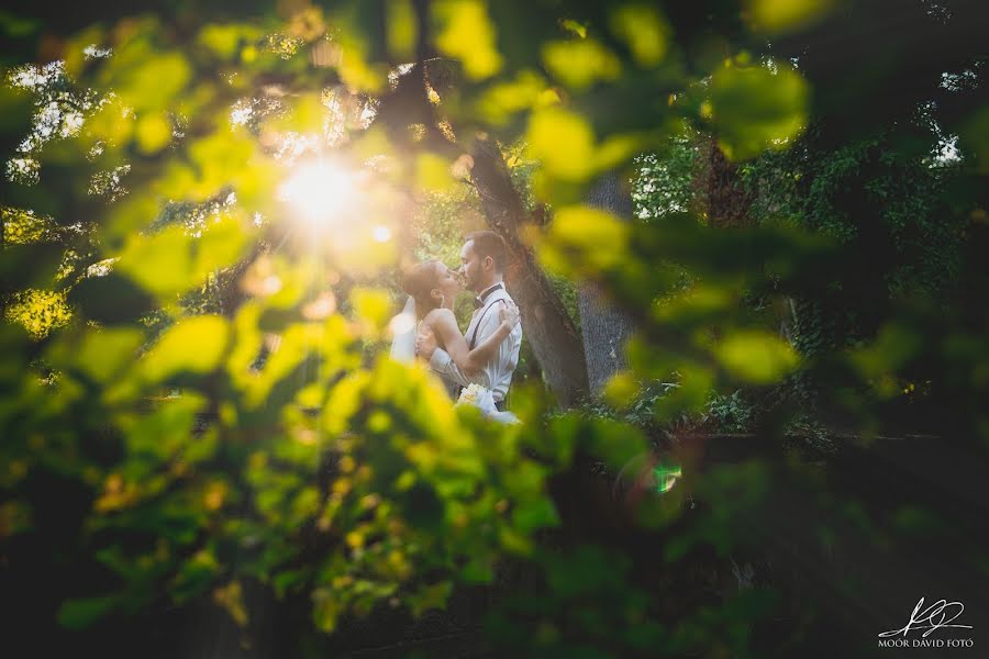 Fotógrafo de bodas Dávid Moór (moordavid). Foto del 5 de septiembre 2017