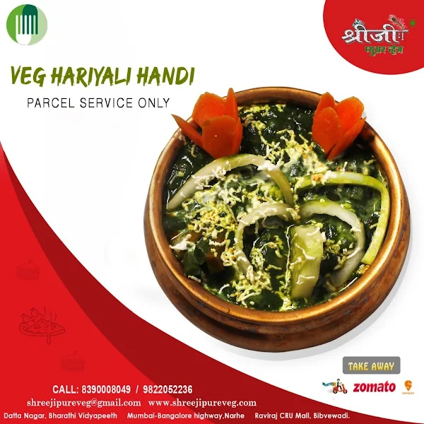 Shreeji Pure Veg, Bibvewadi menu 