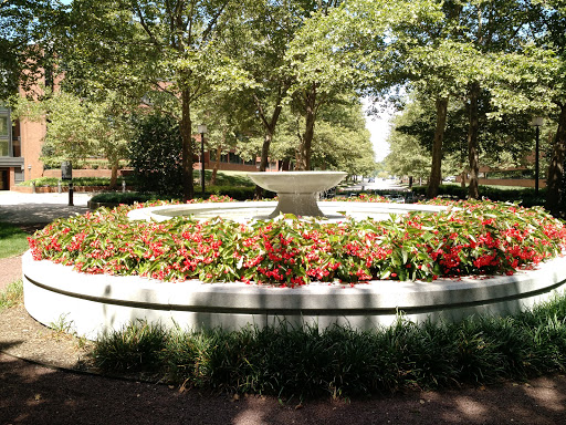 Carnegie Square Fountain