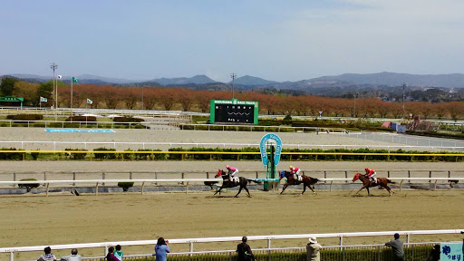 水沢競馬場