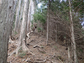 急登となる