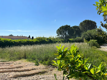 terrain à Laudun-l'Ardoise (30)