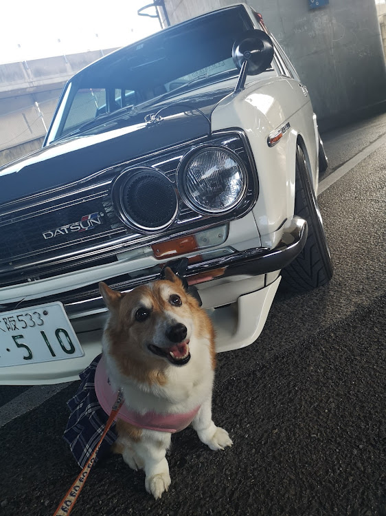 RX-7のFC3C・旧車イベント・乳いゃーんmeet・賀詞交歓会・コーギーのななに関するカスタム事例の投稿画像4枚目