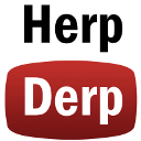 HerpDerpTube chrome extension