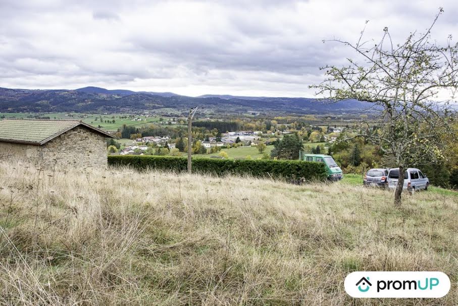 Vente terrain  1563 m² à Ambert (63600), 55 000 €