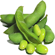 Soybean-IFC Download on Windows
