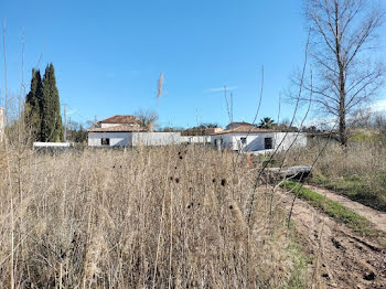 maison neuve à Vidauban (83)