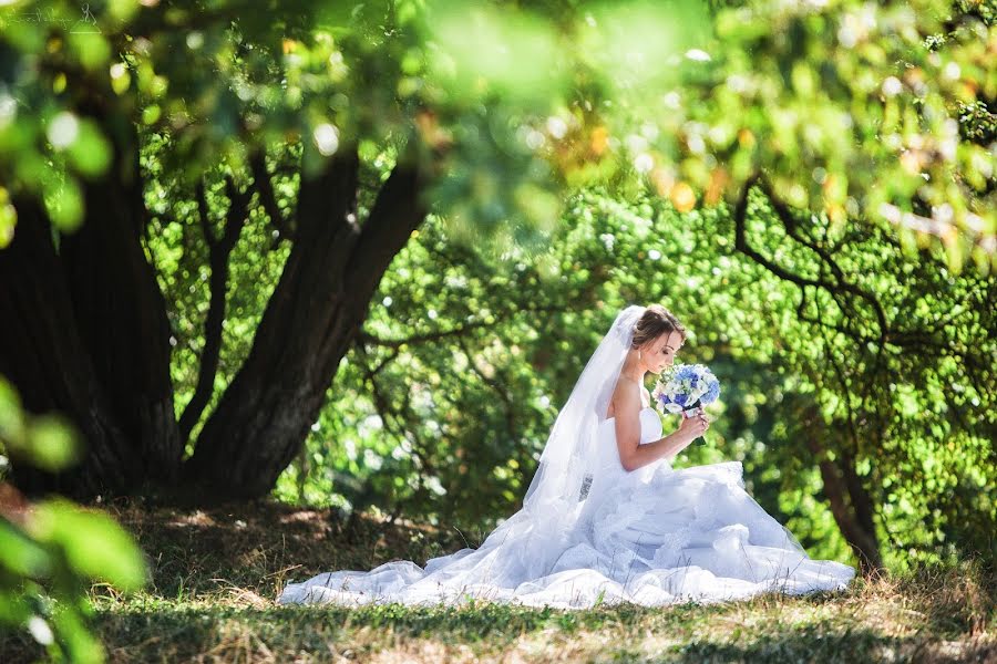 Fotografo di matrimoni Andrey Levickiy (lion78). Foto del 29 novembre 2015