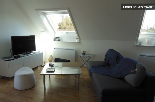 Location meublée appartement 2 pièces 60 m² à Strasbourg (67000), 2 100 €