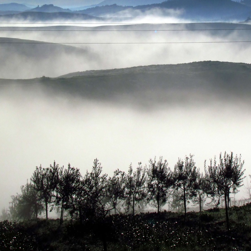 l alba nella nebbia di tizianadesy