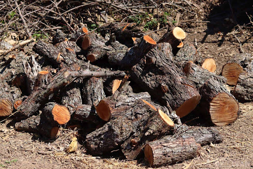 So, What Size Should You Split Firewood?