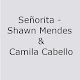 Download Señorita - Shawn Mendes, Camila Cabello Lyrics For PC Windows and Mac 3.0