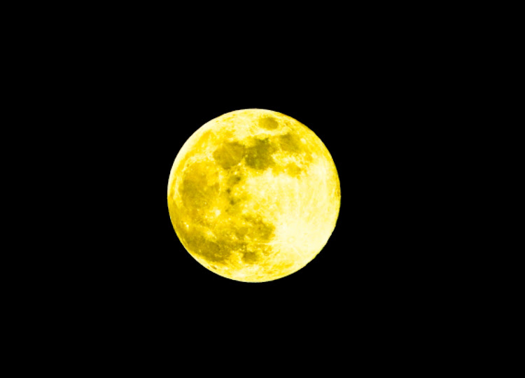 6シリーズの夕陽🌅・ヘビ🐍・花💐・満月🌕に関するカスタム事例の投稿画像3枚目