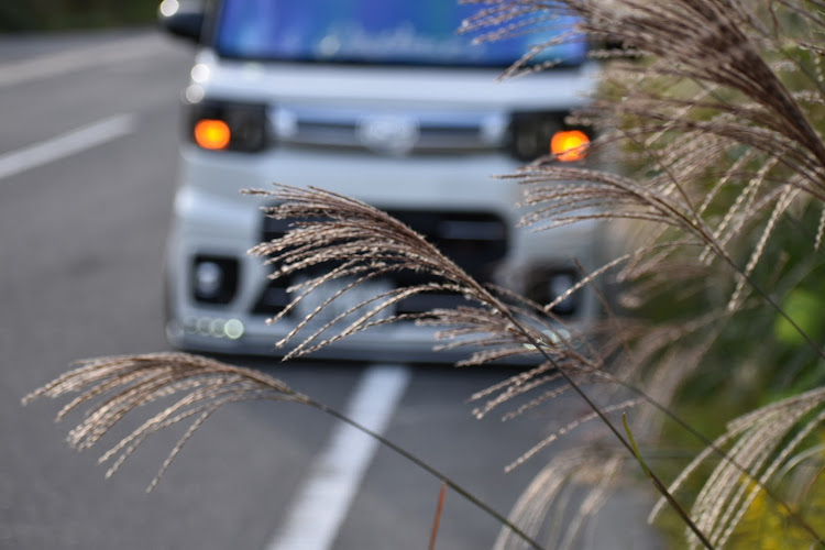 ウェイクの一眼レフ撮影・一眼レフ初心者・紅葉と愛車・ファインダー越しの私の世界・写真が好きな人と繋がりたいに関するカスタム事例の投稿画像8枚目