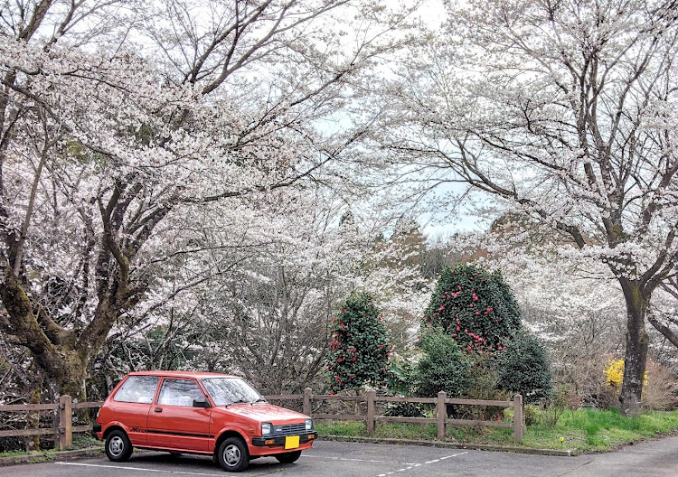 の投稿画像1枚目