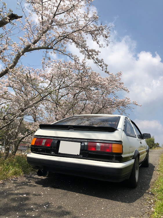 カローラレビンのAE86・カローラレビン・桜と愛車・桜に関するカスタム事例の投稿画像2枚目