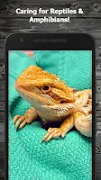 How to Take Care of Reptiles & Screenshot