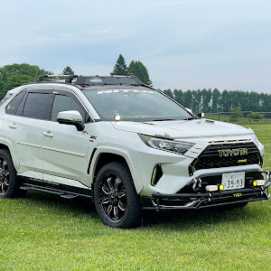 RAV4 AXAH54