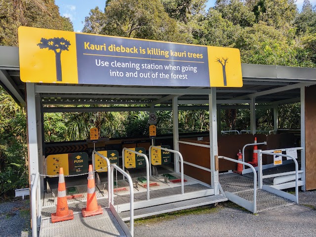 Tane Mahuta entrance