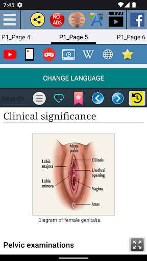 Vagina Anatomy