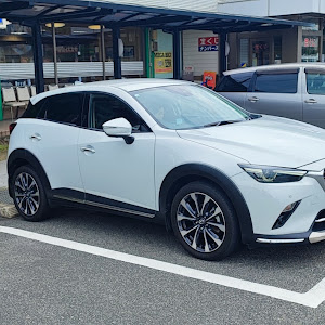 CX-3 DK8FW
