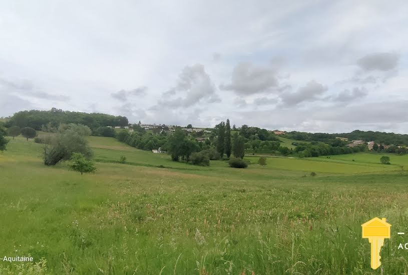  Vente Terrain agricole - 54 177m² à Mirambeau (17150) 